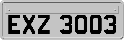 EXZ3003
