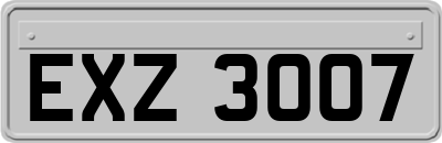 EXZ3007