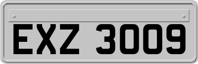 EXZ3009