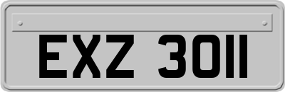 EXZ3011