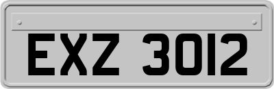 EXZ3012