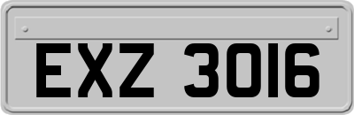 EXZ3016