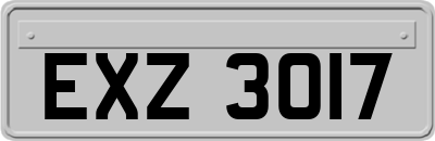EXZ3017