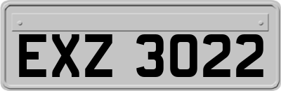 EXZ3022