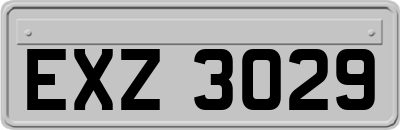 EXZ3029