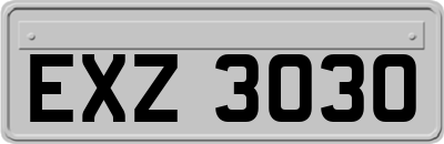 EXZ3030