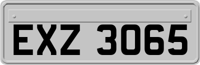 EXZ3065
