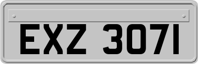 EXZ3071