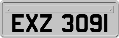 EXZ3091