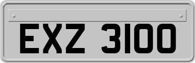 EXZ3100