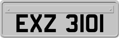 EXZ3101