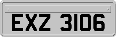 EXZ3106