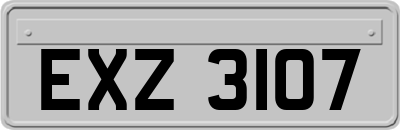 EXZ3107