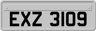 EXZ3109
