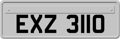 EXZ3110