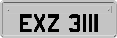 EXZ3111