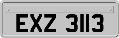 EXZ3113
