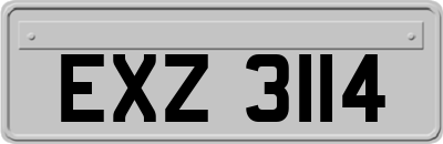EXZ3114