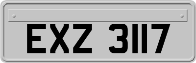 EXZ3117
