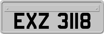 EXZ3118