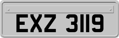 EXZ3119