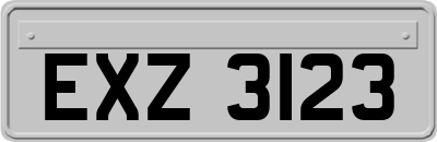 EXZ3123