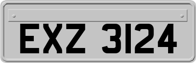 EXZ3124