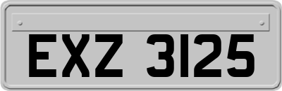 EXZ3125