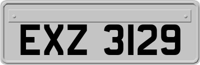 EXZ3129