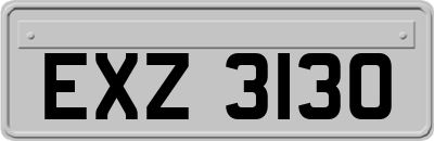 EXZ3130