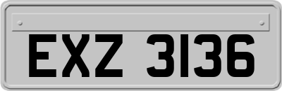 EXZ3136