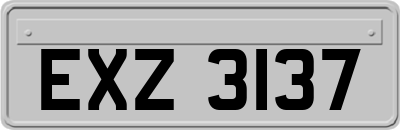 EXZ3137