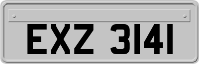 EXZ3141