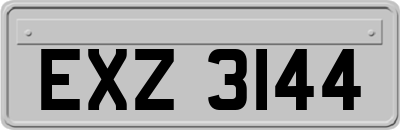 EXZ3144