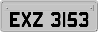 EXZ3153
