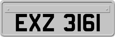 EXZ3161