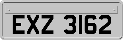 EXZ3162