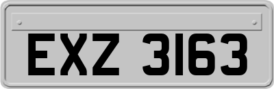 EXZ3163