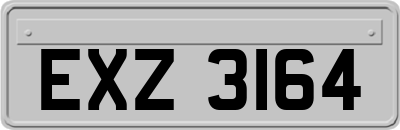 EXZ3164