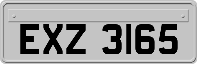 EXZ3165