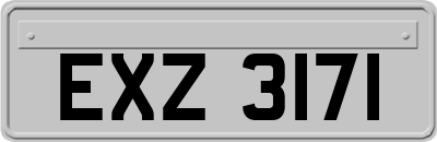 EXZ3171