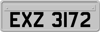 EXZ3172