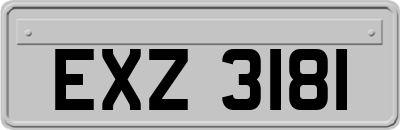 EXZ3181
