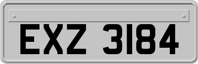 EXZ3184