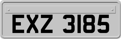 EXZ3185