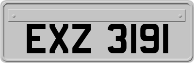 EXZ3191