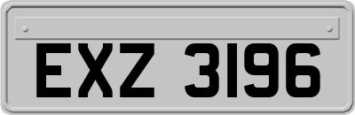 EXZ3196