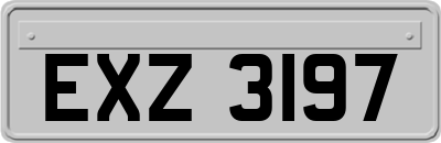 EXZ3197