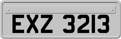 EXZ3213