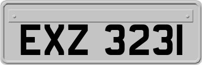 EXZ3231